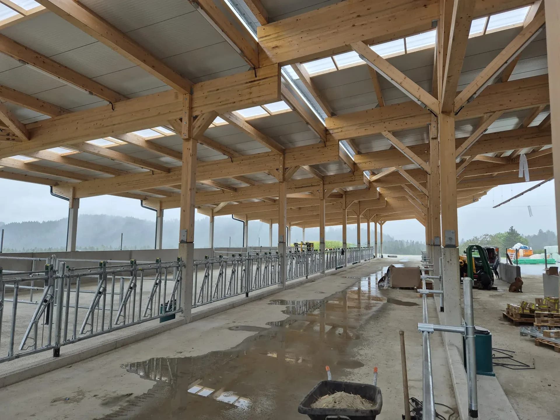 Himmelberg – Milchviehstall